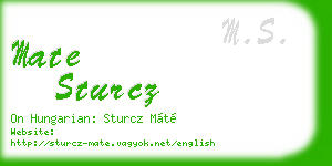 mate sturcz business card